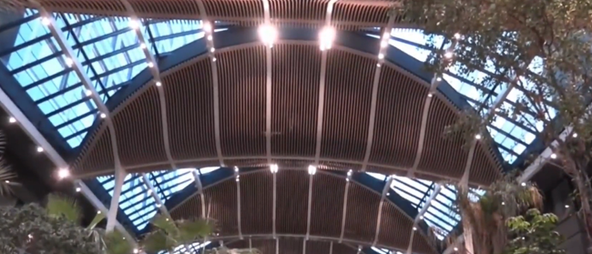 Video preview